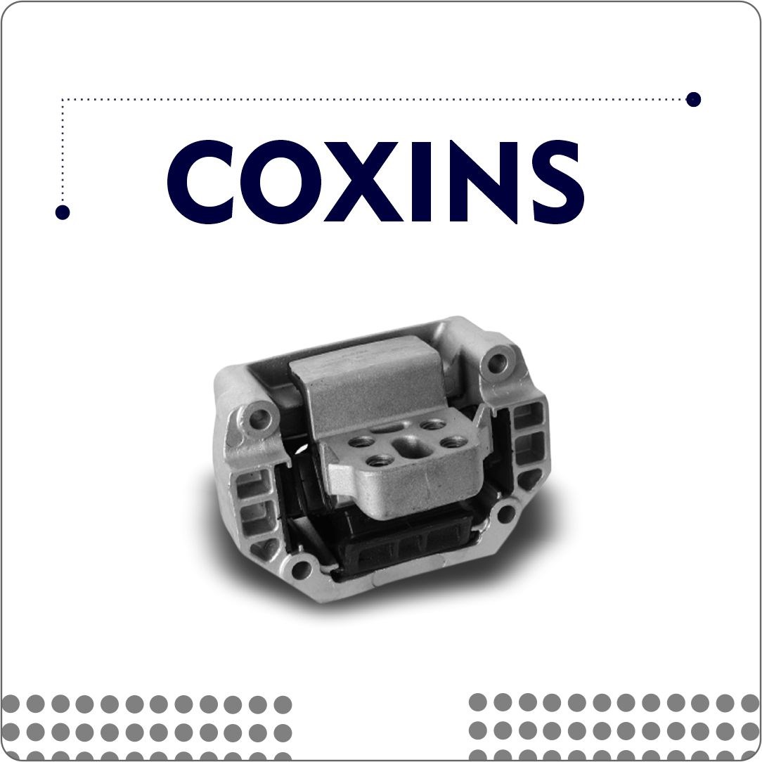 Coxins
