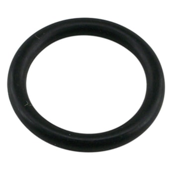 O  RING FILTRO ROTATIVO (cod original: 810968)