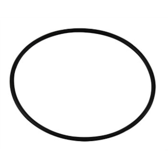 O  RING FILTRO ROTATIVO P.G.R.T. (cod original: 1769798) O  RING FILTRO ROTATIVO P.G.R.T. (cod original: 1769798)