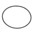 O  RING FILTRO ROTATIVO P.G.R.T. (cod original: 1769798) O  RING FILTRO ROTATIVO P.G.R.T. (cod original: 1769798)