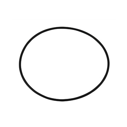 O  RING FILTRO ROTATIVO P.G.R.T. (cod original: 1769799) O  RING FILTRO ROTATIVO P.G.R.T. (cod original: 1769799)