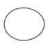 O  RING FILTRO ROTATIVO P.G.R.T. (cod original: 1769799) O  RING FILTRO ROTATIVO P.G.R.T. (cod original: 1769799)