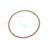 O  RING VEDACAO INTERC. P93/T113/R143 (cod original: 1319541) O  RING VEDACAO INTERC. P93/T113/R143 (cod original: 1319541)
