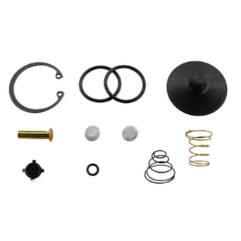 REP. VALV. GOVERN. AR (cod original: 2RG198313)